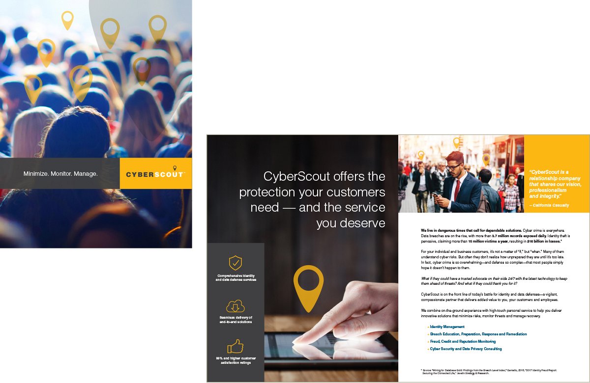 CyberScout